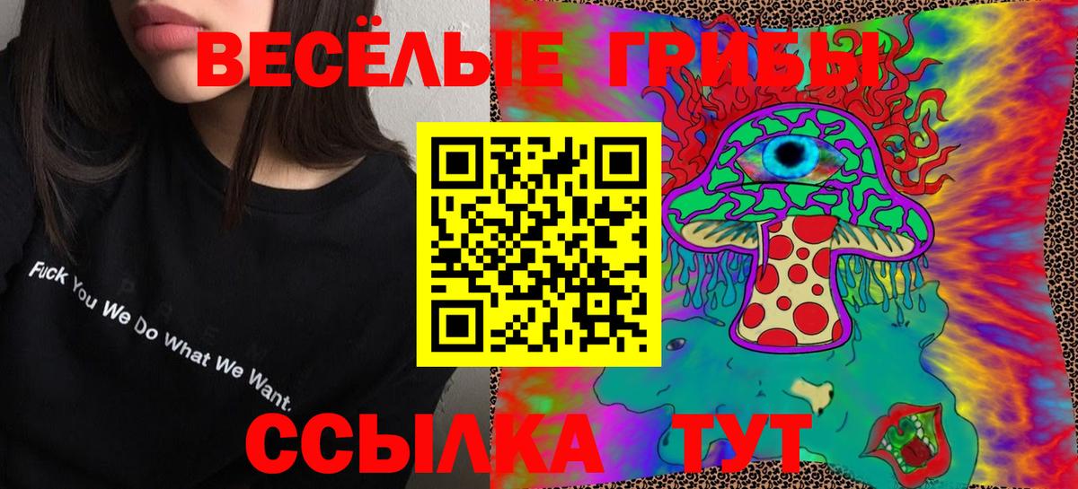 Партизанск  Псилоцибиновые грибы прущие грибы  Галлюциногенные грибы мухоморы  Вход с VPN 